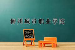 柳州城市职业学院近三年录取分数线及位次：四川2022-2024最低分