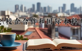 2024年赤峰学院(校企合作和国际本科互认课程)录取分数线，内蒙古最低375分