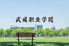 武威职业学院近三年录取分数线及位次：四川2022-2024最低分