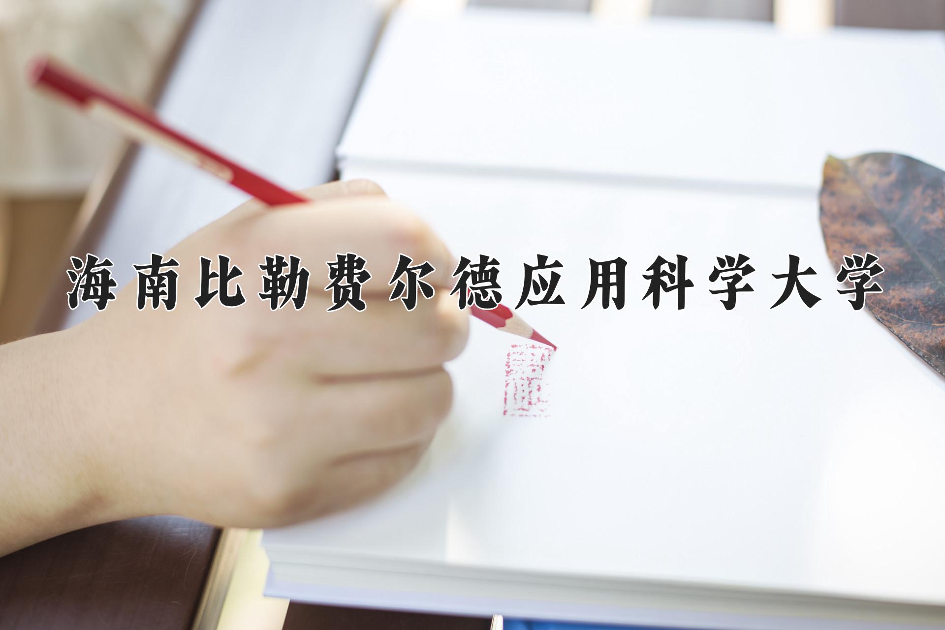 海南比勒费尔德应用科学大学近三年录取分数线及位次：四川2022-2024最低分