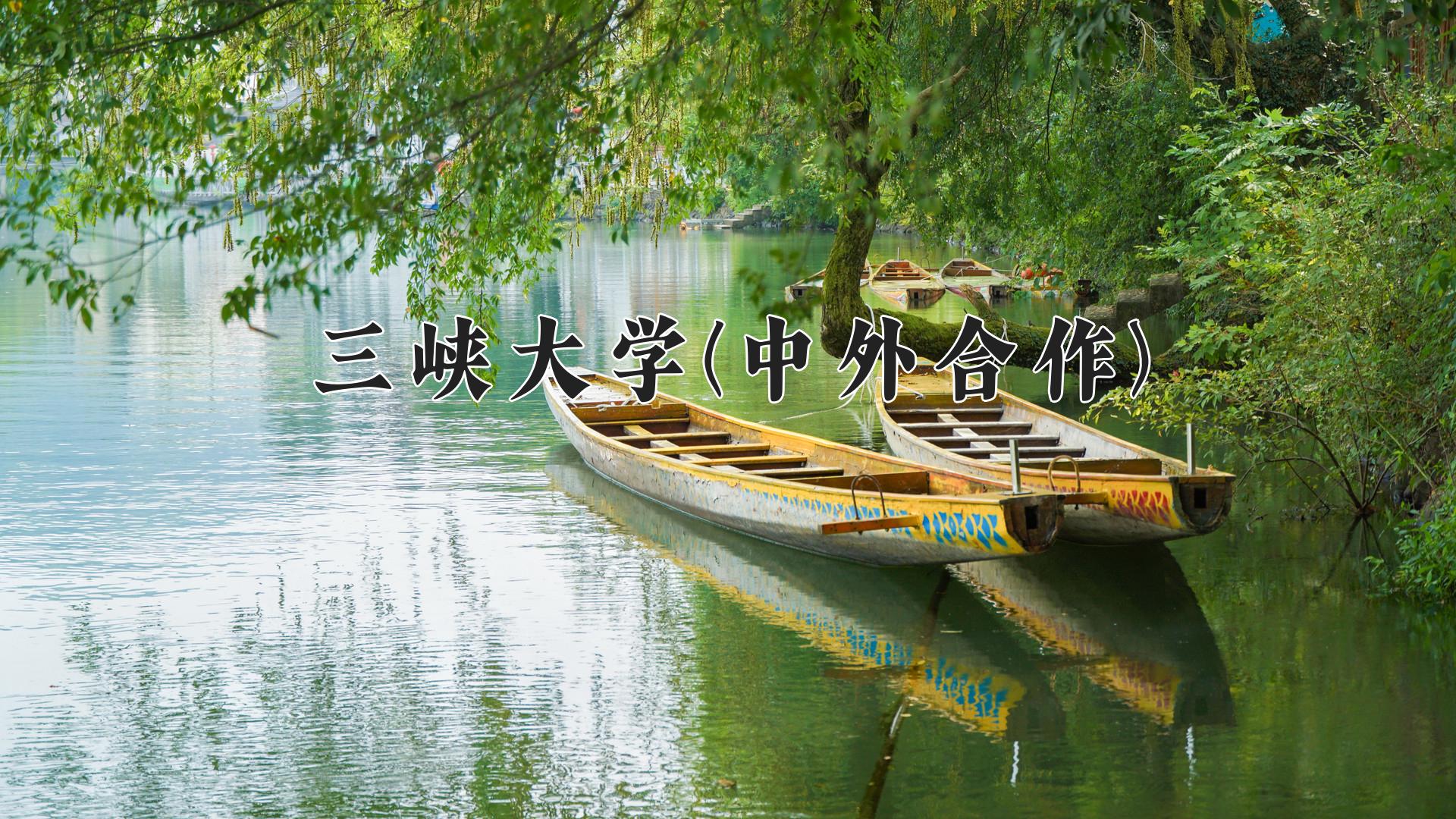 三峡大学(中外合作)近三年录取分数线及位次:四川2022-2024最低分
