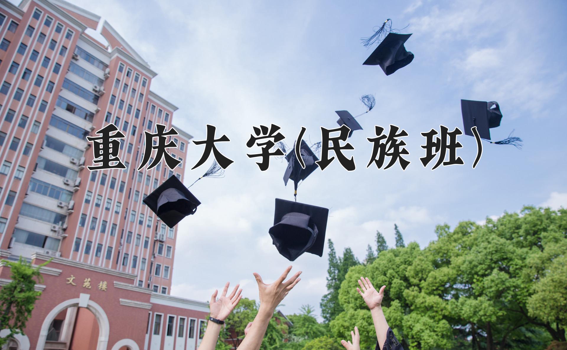 重庆大学(民族班)近三年录取分数线及位次：四川2022-2024最低分