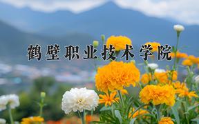 鹤壁职业技术学院近三年录取分数线及位次：四川2022-2024最低分