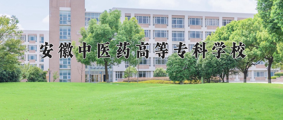安徽中医药高等专科学校近三年录取分数线及位次:四川2022-2024最低分