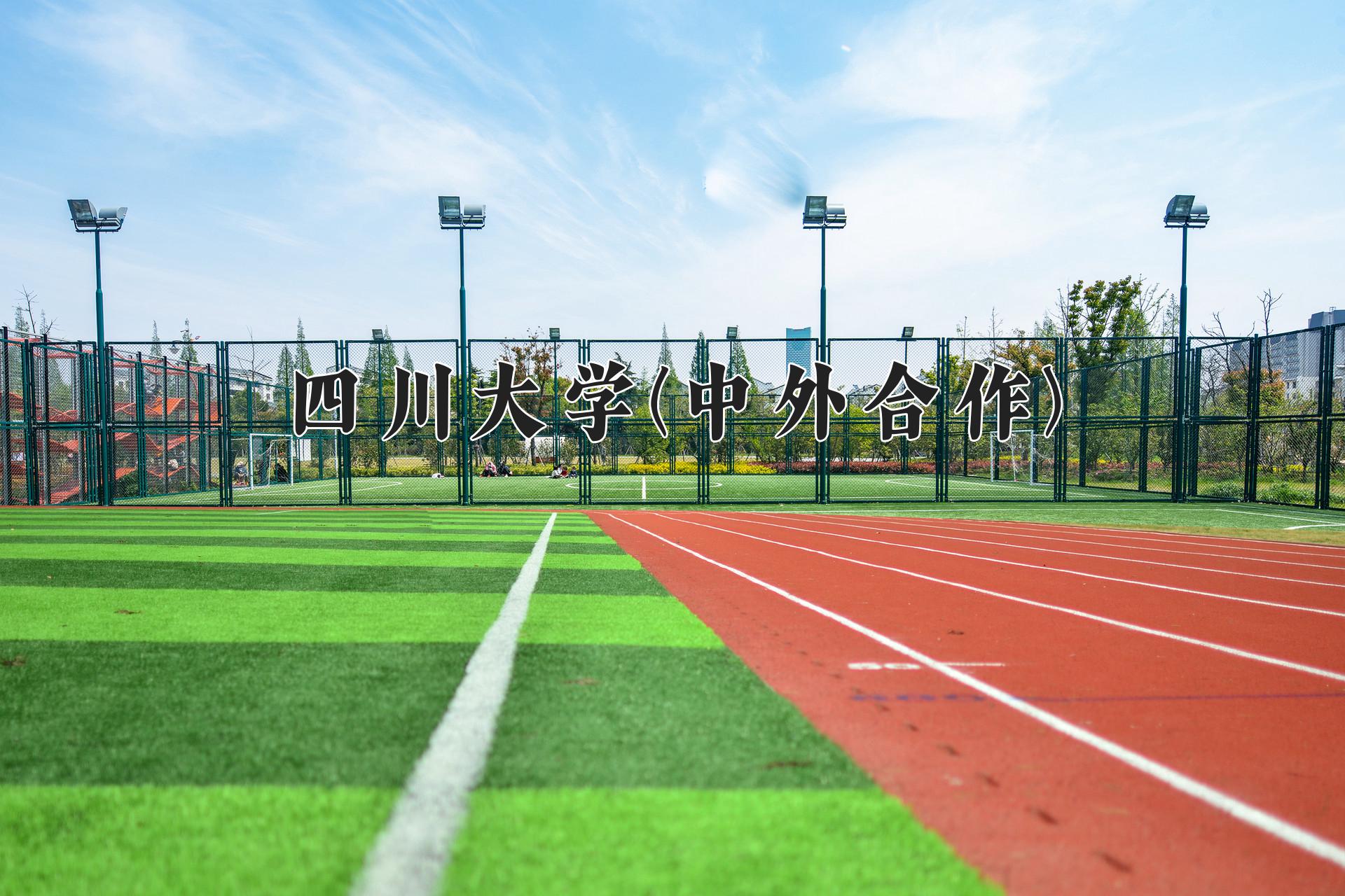 四川大学(中外合作)近三年录取分数线及位次:四川2022-2024最低分