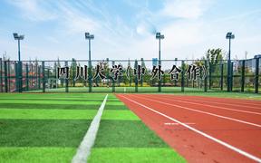四川大学(中外合作)近三年录取分数线及位次：四川2022-2024最低分