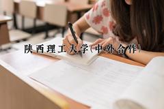 陕西理工大学(中外合作)近三年录取分数线及位次：四川2022-2024最低分