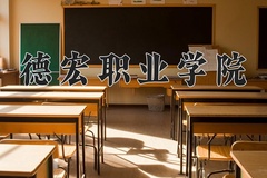 德宏职业学院近三年录取分数线及位次：四川2022-2024最低分