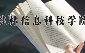 桂林信息科技学院近三年录取分数线及位次：四川2022-2024最低分