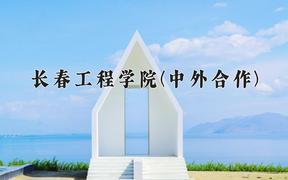长春工程学院(中外合作)近三年录取分数线及位次：四川2022-2024最低分
