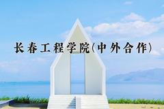 长春工程学院(中外合作)近三年录取分数线及位次：四川2022-2024最低分