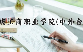 重庆工商职业学院(中外合作)近三年录取分数线及位次：四川2022-2024最低分