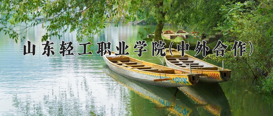 山东轻工职业学院(中外合作)近三年录取分数线及位次：四川2022-2024最低分