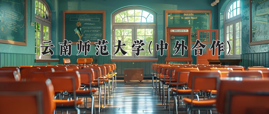 云南师范大学(中外合作)近三年录取分数线及位次:四川2022-2024最低分