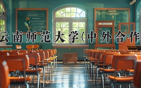 云南师范大学(中外合作)近三年录取分数线及位次：四川2022-2024最低分