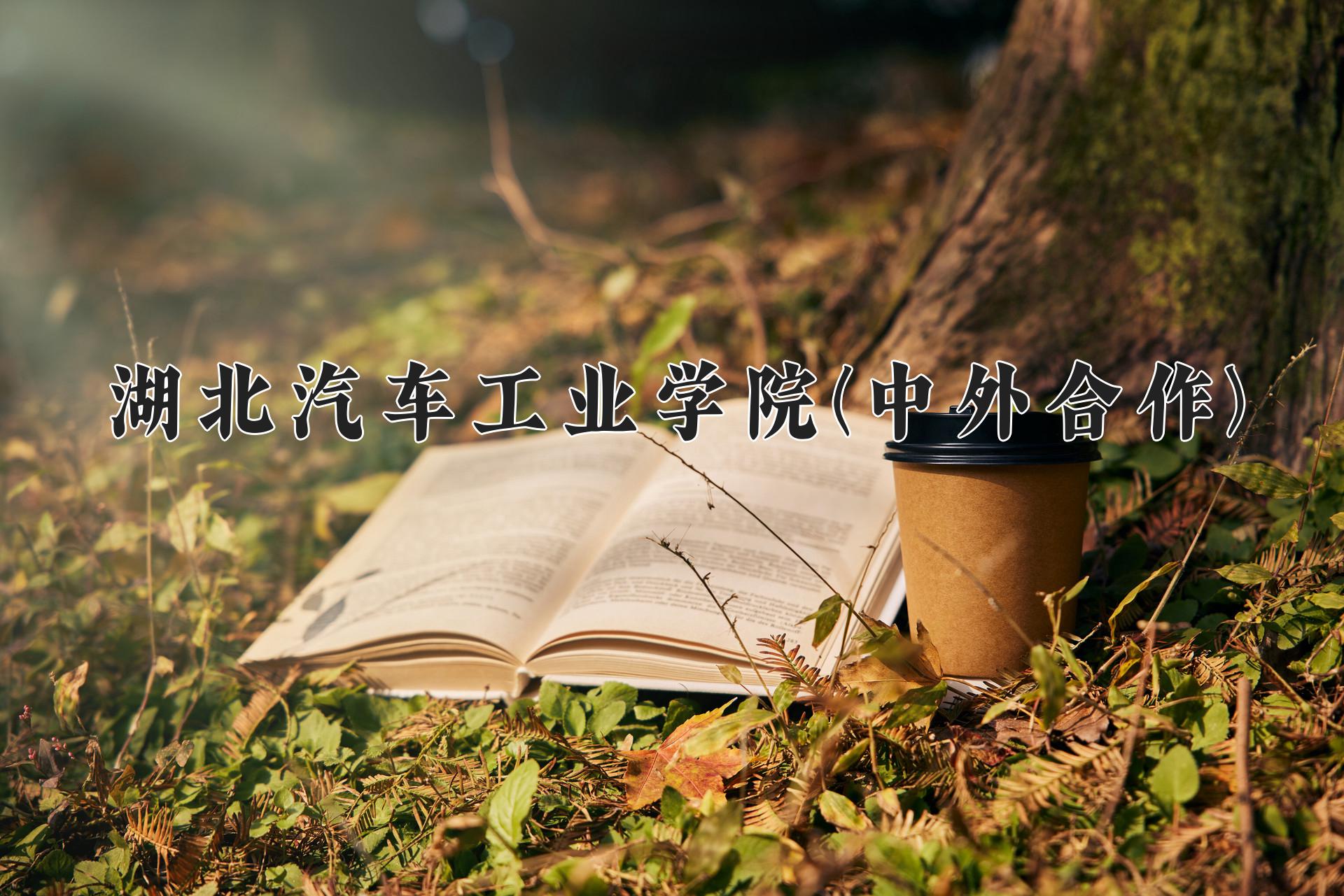 湖北汽车工业学院(中外合作)近三年录取分数线及位次:四川2022-2024最低分