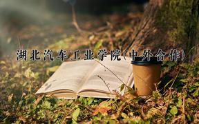 湖北汽车工业学院(中外合作)近三年录取分数线及位次：四川2022-2024最低分