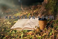 湖北汽车工业学院(中外合作)近三年录取分数线及位次：四川2022-2024最低分