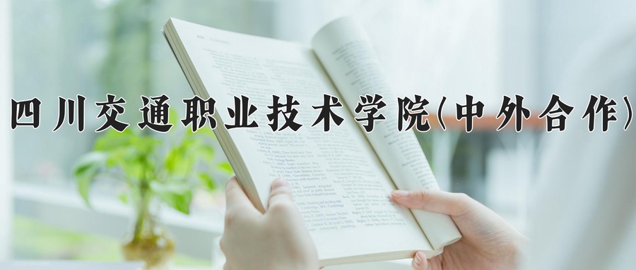 四川交通职业技术学院(中外合作)近三年录取分数线及位次：四川2022-2024最低分