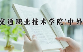 四川交通职业技术学院(中外合作)近三年录取分数线及位次：四川2022-2024最低分