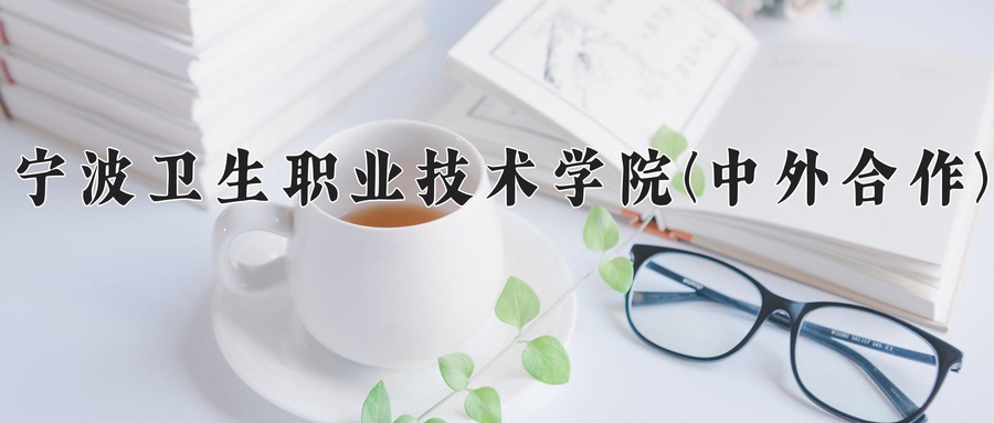 宁波卫生职业技术学院(中外合作)近三年录取分数线及位次：四川2022-2024最低分