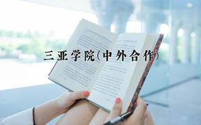 三亚学院(中外合作)近三年录取分数线及位次：四川2022-2024最低分
