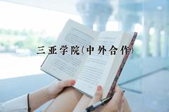 三亚学院(中外合作)近三年录取分数线及位次：四川2022-2024最低分