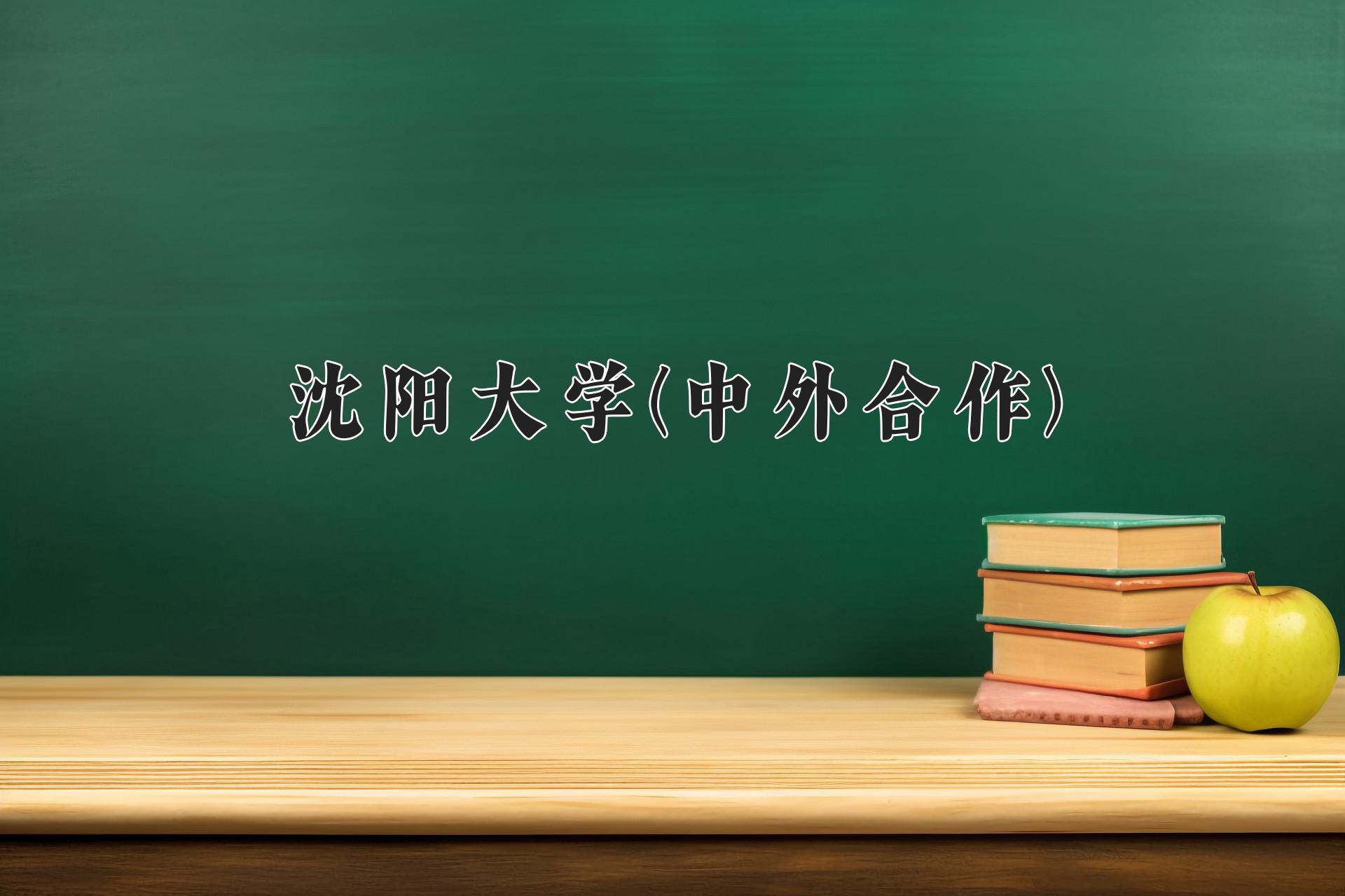 沈阳大学(中外合作)近三年录取分数线及位次：四川2022-2024最低分