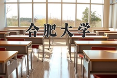 合肥大学近三年录取分数线及位次：四川2022-2024最低分