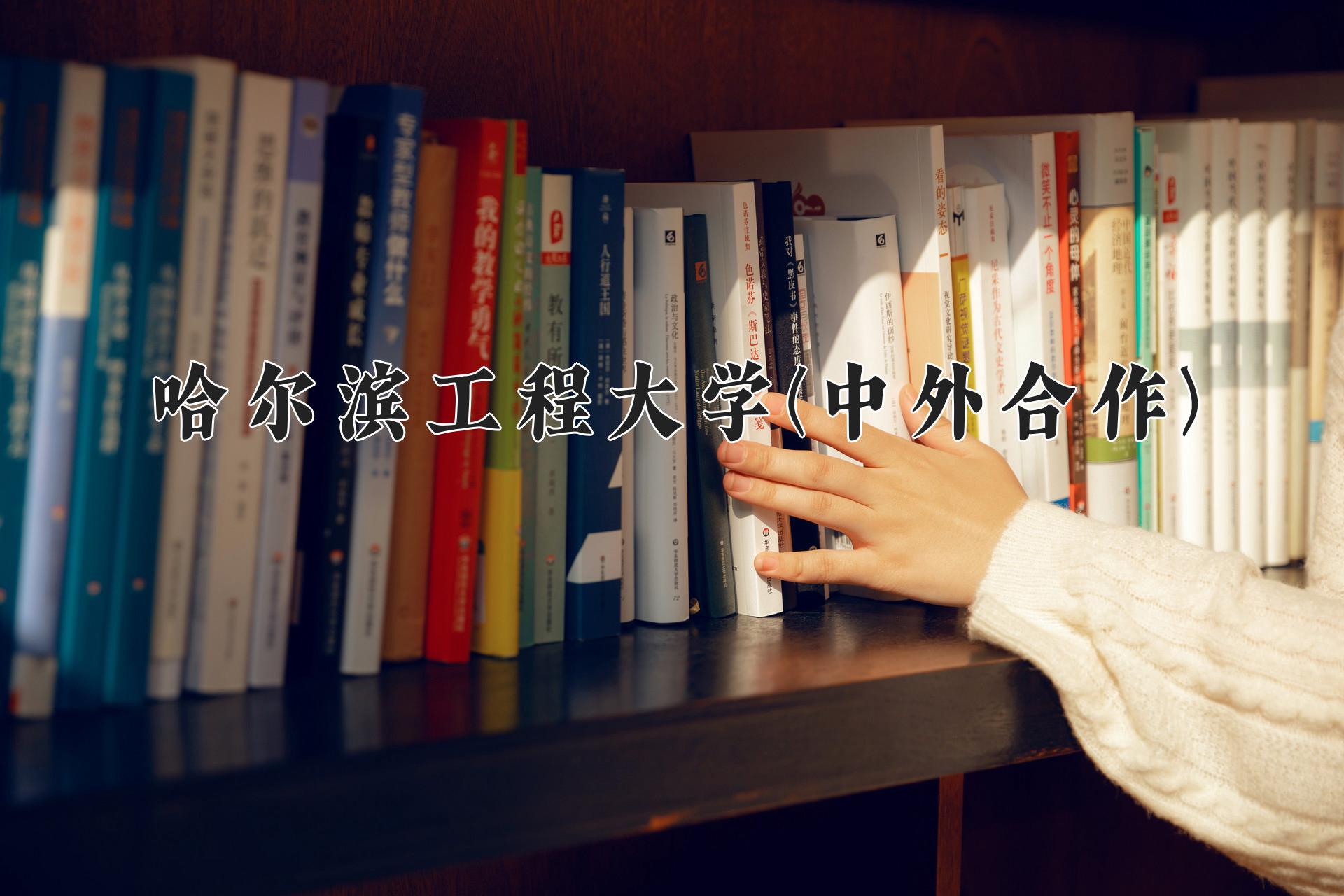 哈尔滨工程大学(中外合作)近三年录取分数线及位次:四川2022-2024最低分