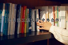 哈尔滨工程大学(中外合作)近三年录取分数线及位次：四川2022-2024最低分