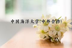 中国海洋大学(中外合作)近三年录取分数线及位次：四川2022-2024最低分