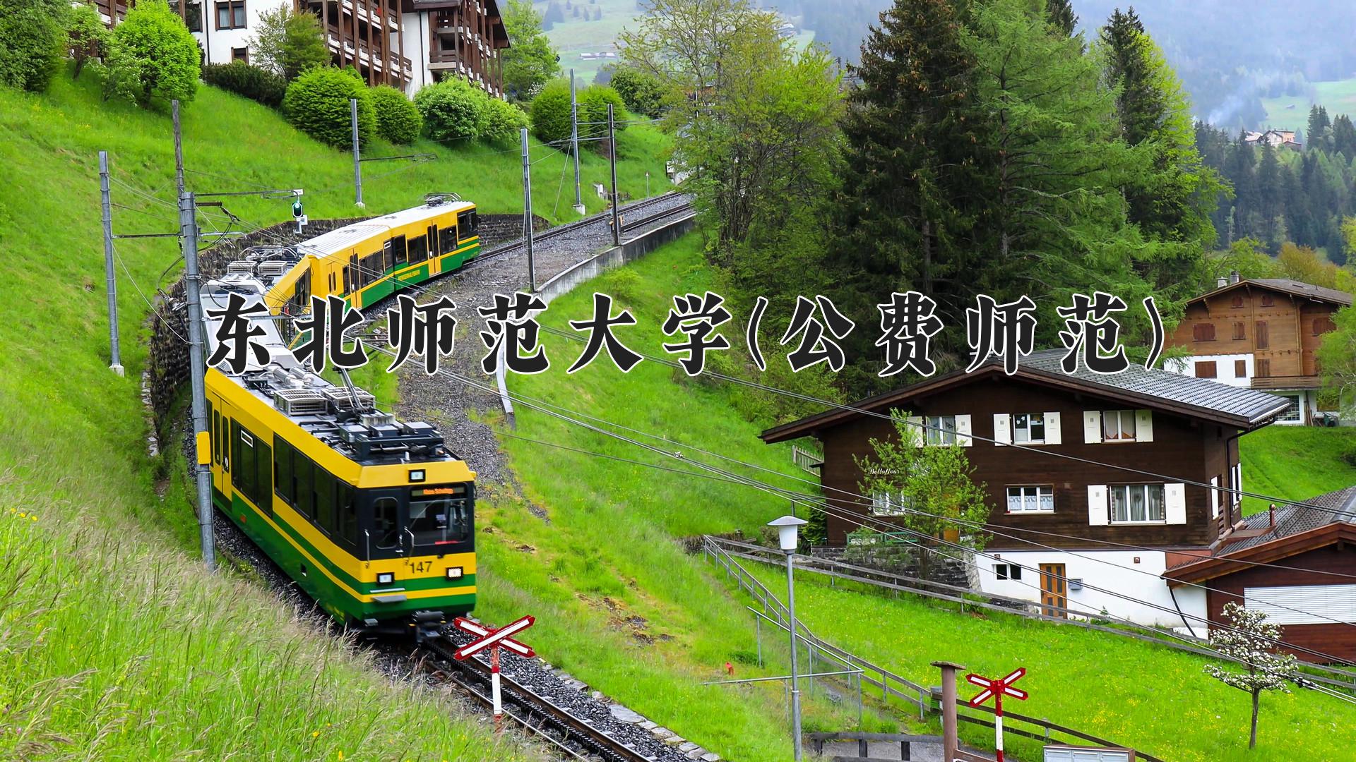 东北师范大学(公费师范)近三年录取分数线及位次:四川2022-2024最低分