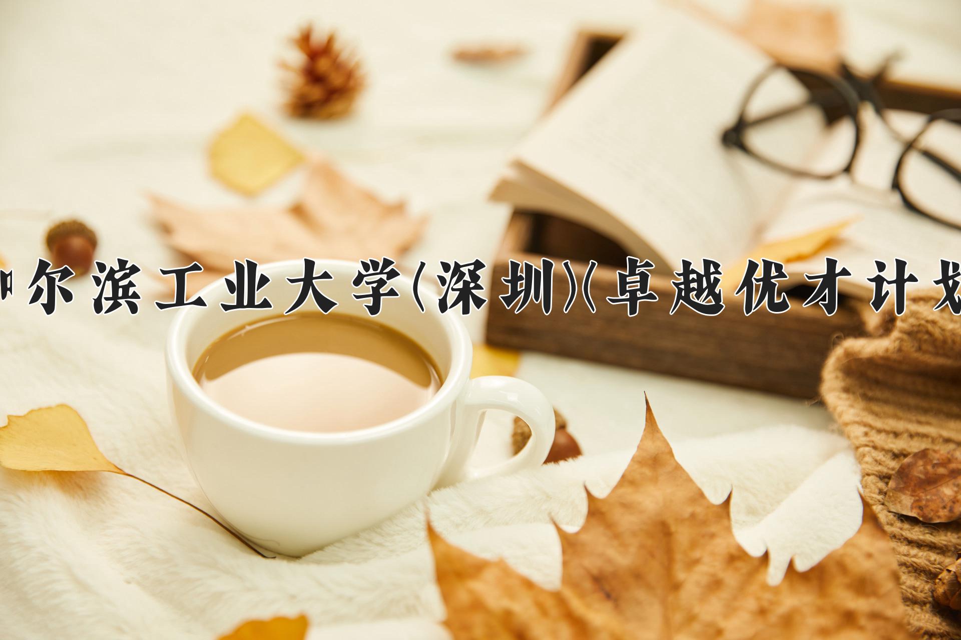 哈尔滨工业大学(深圳)(卓越优才计划)近三年录取分数线及位次：四川2022-2024最低分