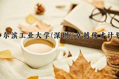 哈尔滨工业大学(深圳)(卓越优才计划)近三年录取分数线及位次：四川2022-2024最低分