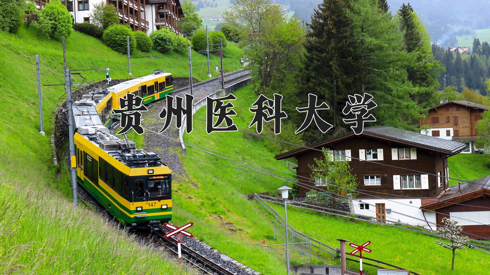 贵州医科大学近三年录取分数线及位次:四川2022-2024最低分