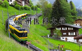 贵州医科大学近三年录取分数线及位次：四川2022-2024最低分