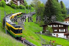 贵州医科大学近三年录取分数线及位次：四川2022-2024最低分