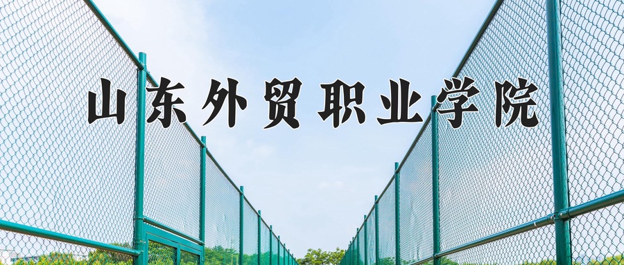 山东外贸职业学院近三年录取分数线及位次:四川2022-2024最低分