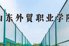 山东外贸职业学院近三年录取分数线及位次：四川2022-2024最低分