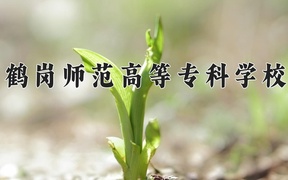 2024年鹤岗师范高等专科学校录取分数线，内蒙古最低200分