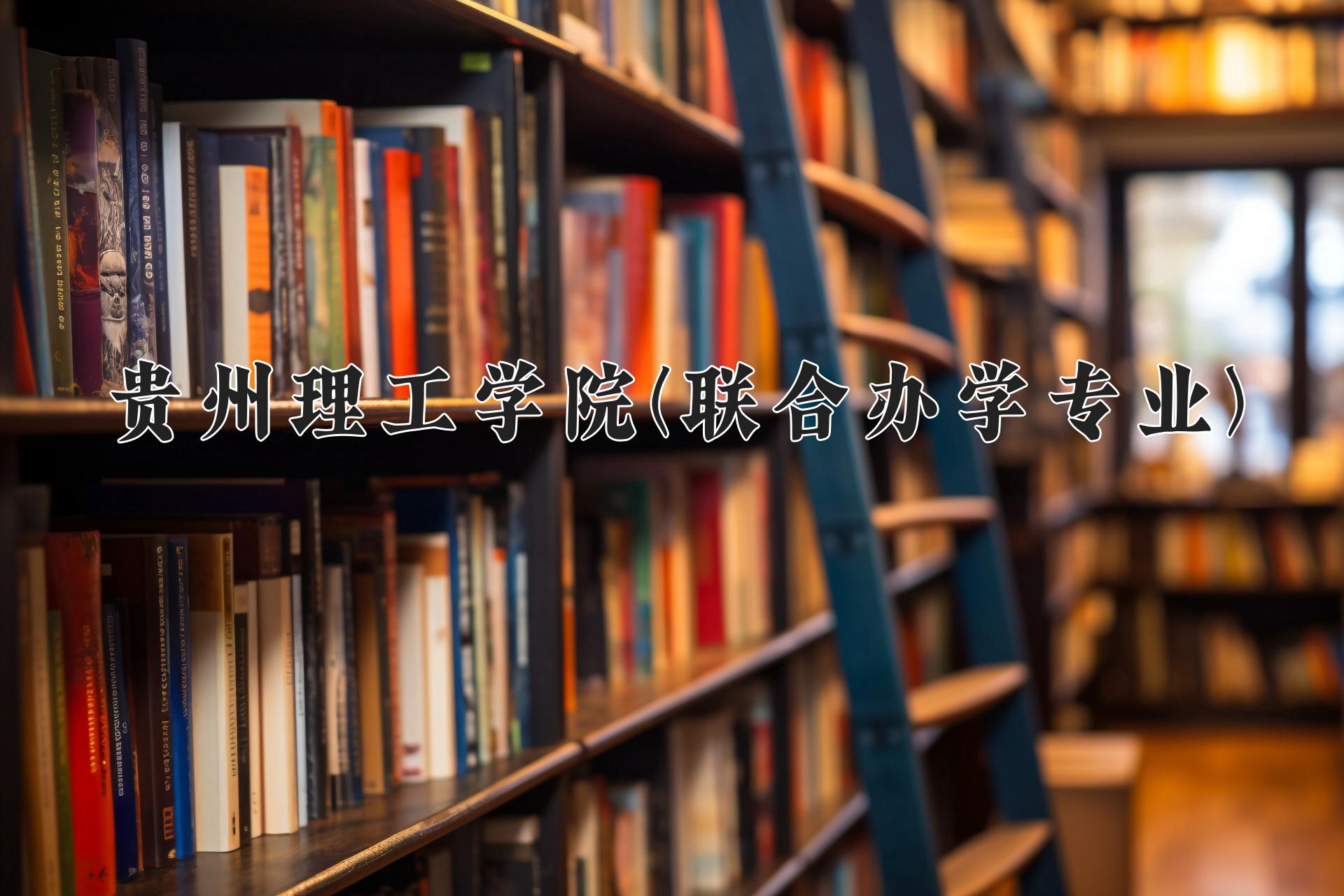 贵州理工学院(联合办学专业)近三年录取分数线及位次:四川2022-2024最低分
