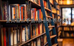 贵州理工学院(联合办学专业)近三年录取分数线及位次：四川2022-2024最低分