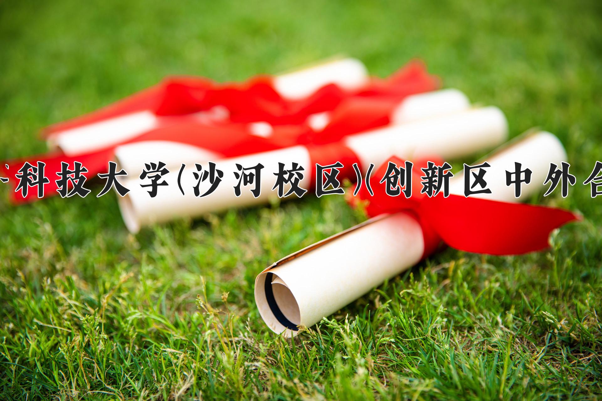 电子科技大学(沙河校区)(创新区中外合作)近三年录取分数线及位次:四川2022-2024最低分