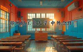 郑州轻工业大学(中外合作)近三年录取分数线及位次：四川2022-2024最低分