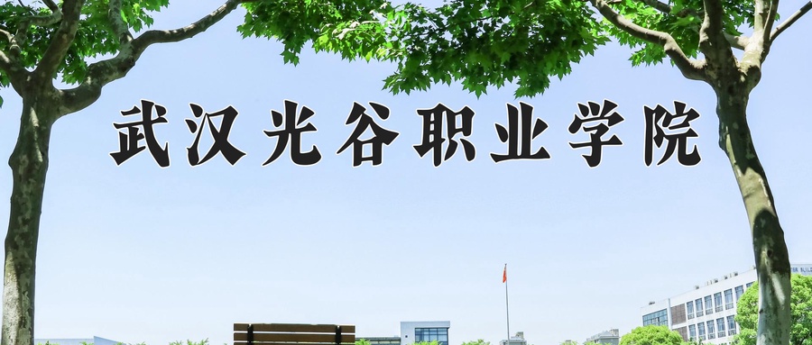 武汉光谷职业学院近三年录取分数线及位次：四川2022-2024最低分