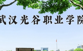 武汉光谷职业学院近三年录取分数线及位次：四川2022-2024最低分
