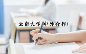 云南大学(中外合作)近三年录取分数线及位次：四川2022-2024最低分