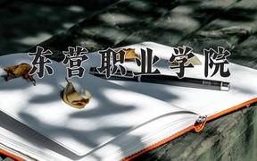 2024年东营职业学院录取分数线，内蒙古最低223分