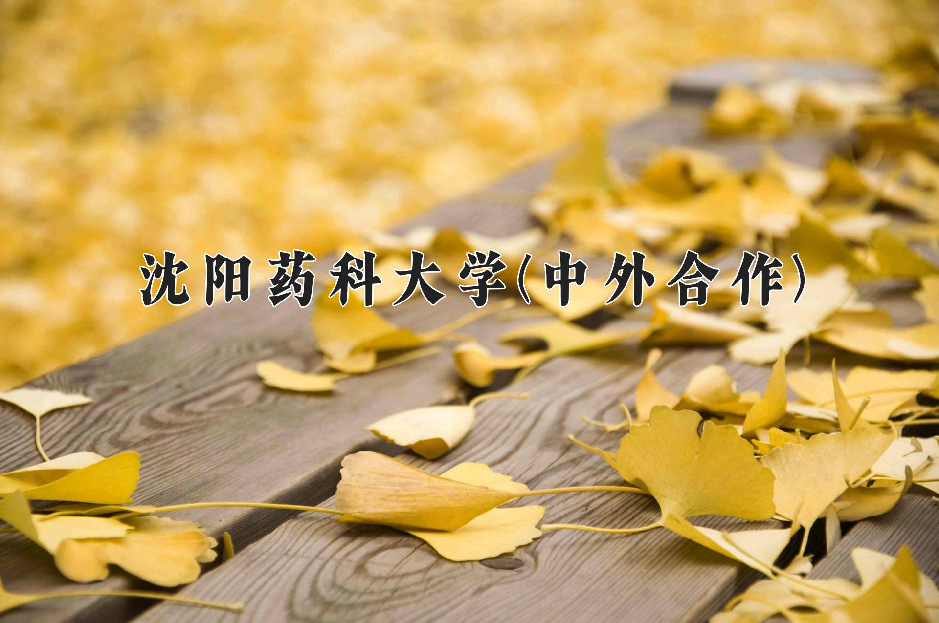 沈阳药科大学(中外合作)近三年录取分数线及位次：四川2022-2024最低分